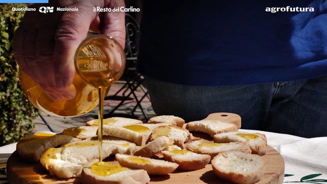 Terra - Viaggio nei sapori dell'Emilia Romagna