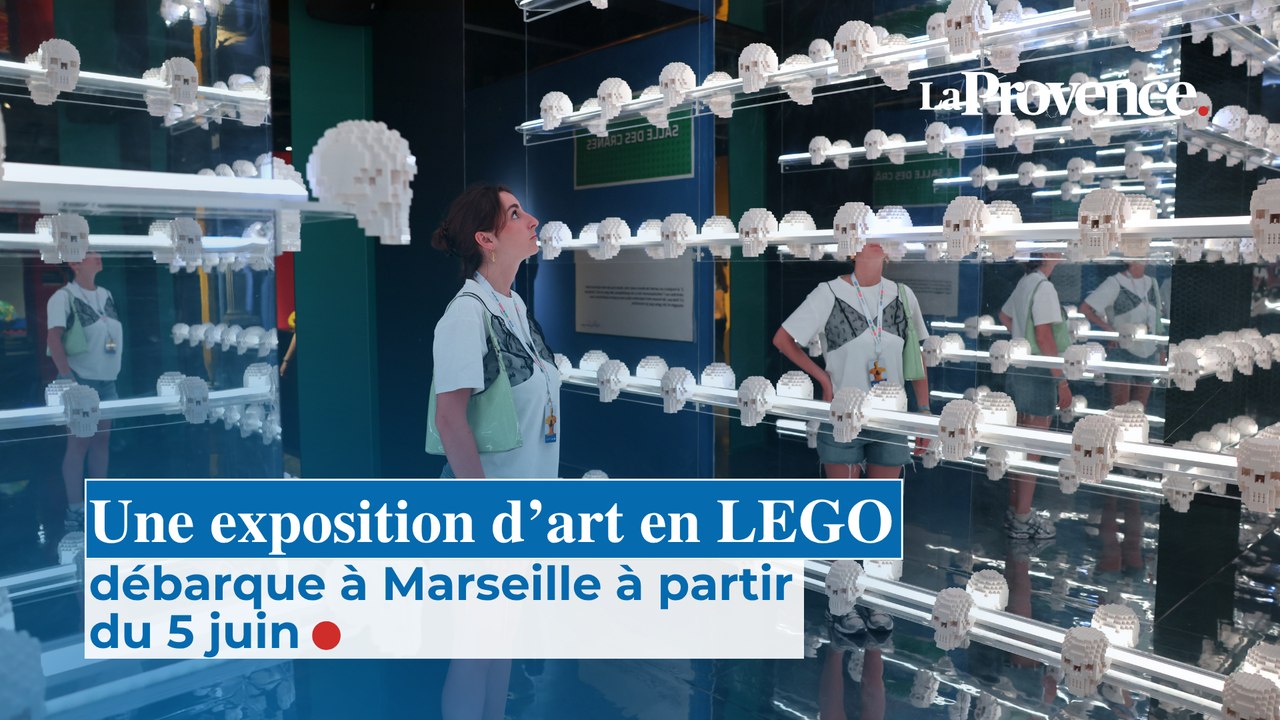 The Art Of The Brick : une exposition d'art en LEGO arrive à Marseille.