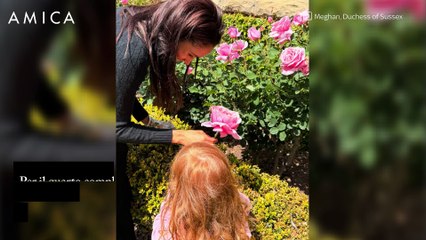 Meghan Markle incinta e il principe Harry ballano in ospedale: il video è virale