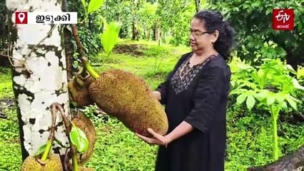 ചക്ക കൊണ്ട് ചുളപോലെ ലക്ഷങ്ങൾ സമ്പാദിക്കുന്ന കർഷകര്‍, ഇത് മോളിയുടെയും ആന്‍റണിയുടെയും വിജയഗാഥ