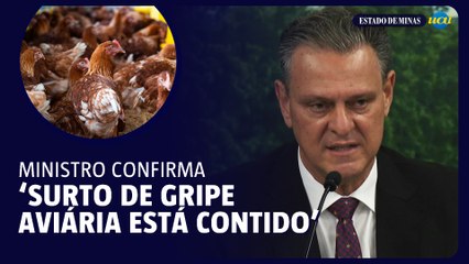 Ministro confirma controle da gripe aviária no RS e Brasil espera retomar exportações