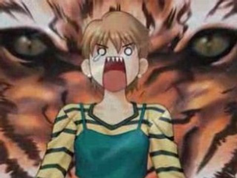 Fate stay night All Illusion(THIS ILLUSION FULL Ver)