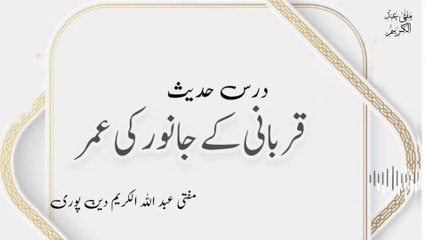 Qurbani K Janwar Ki Umar | Mufti Abdul Karim Den Puri | 04-05-2025