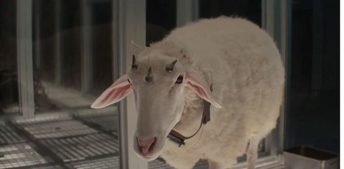 Alien: Earth - Official Trailer 🚀