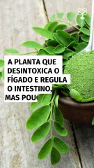 A planta que desintoxica o fígado e regula o intestino, mas poucos usam da forma certa