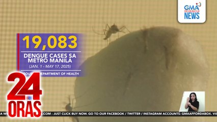 DOH - Mahigit 19,000 sa 110,221 dengue cases sa bansa ay naitala sa Metro Manila; 437 nasawi | 24 Oras