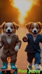 nice poor puppy #viralvideo # viralshort