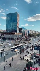 A Whispered Love in the Spring Wind 丨Pt.1