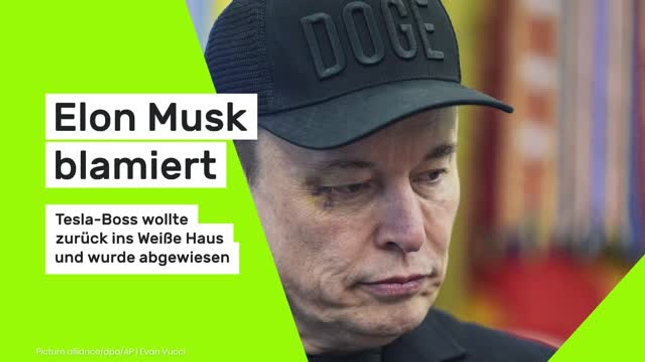 Elon Musk blamiert: Tesla-Boss wollte zurück ins Weiße Haus und wurde abgewiesen