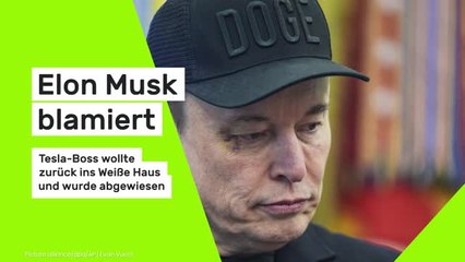 Elon Musk blamiert: Tesla-Boss wollte zurück ins Weiße Haus und wurde abgewiesen