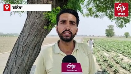 ਕਿਸਾਨਾਂ ਵਿੱਚ ਝੋਨੇ ਦੀ ਸਿੱਧੀ ਬਿਜਾਈ ਦਾ ਵਧਿਆ ਰੁਝਾਨ, ਸਿੱਧੀ ਬਿਜਾਈ ਕਰਨ ਵਾਲੇ ਕਿਸਾਨਾਂ ਨੇ ਸਾਂਝੇ ਕੀਤੇ ਆਪਣੇ ਤਜ਼ਰਬੇ