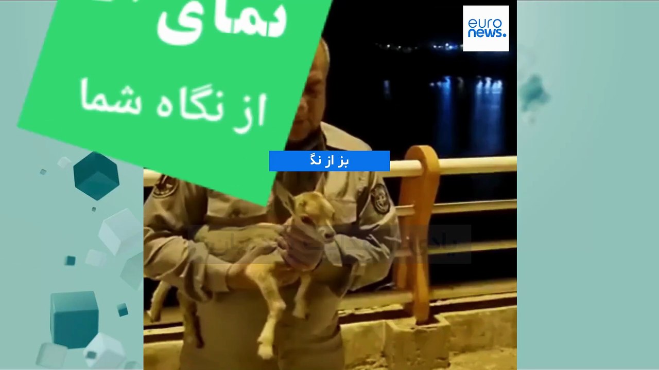 نمای سبز از نگاه شما؛  یادی از هدایت دیده‌بان، محیط‌بان حیات وحش ایران که توسط شکارچیان کشته شد