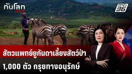 สัตวแพทย์ยูกันดาเลี้ยงสัตว์ป่า 1,000 ตัว กรุยทางอนุรักษ์ | ทันโลก DAILY | 6 มิ.ย. 68