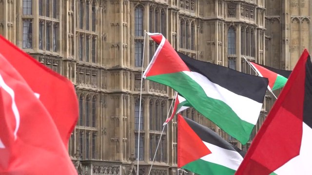 Thousands gather outside Westminster to demand arms embargo on Israel