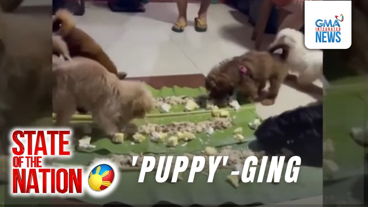 Fur dad, nagpa-boodle fight sa mga alagang aso nang matanggap ang mid-year bonus | SONA