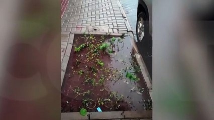 Comerciante reclama de calçada inacessível na Avenida Carlos Gomes