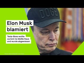 Elon Musk blamiert: Tesla Boss wollte zurück ins Weiße Haus und wurde abgewiesen