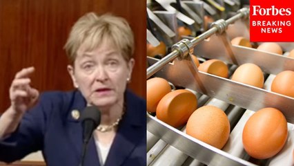 Marcy Kaptur Urges Bird Flu Research To Protect Egg Industry, Rips Current ‘Price Gouging, Political Spin’