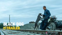 Black dog - Trailer subtitulado en español