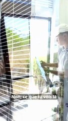 Le futur du solaire est sur nos fenêtres ?