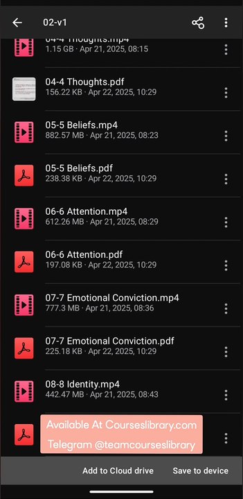 (courseslibrary.com)Nero Knowledge - The Awakened Entrepreneurs Blueprint 2.0