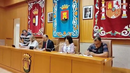 Pleno del Consejo Municipal de la Infancia y la Adolescencia