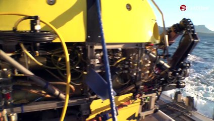 L’inquiétante conquête des grands fonds marins a commencé