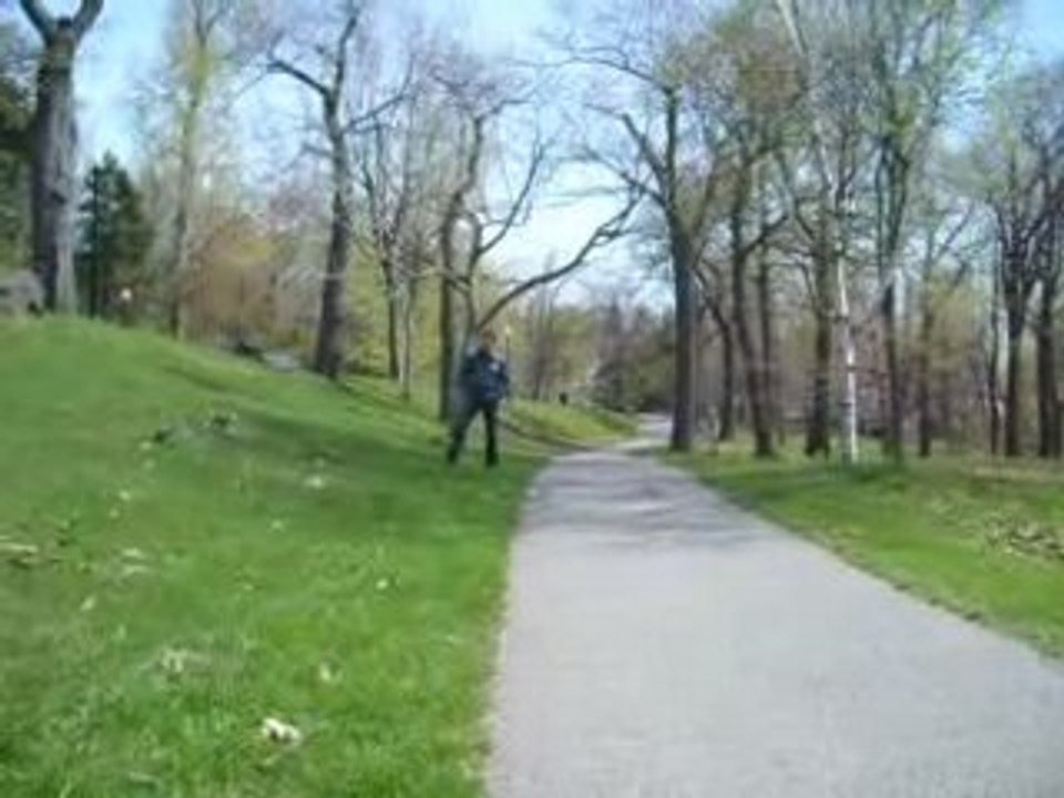 ptis ecureuils de mont royal