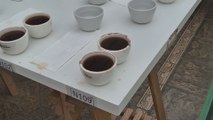 Por primera vez, realizarán la Feria Internacional del Café