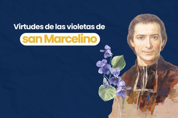 Virtudes de las violetas de san Marcelino