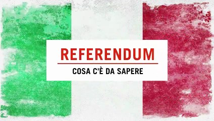 Referendum, tutto quello che c'è da sapere