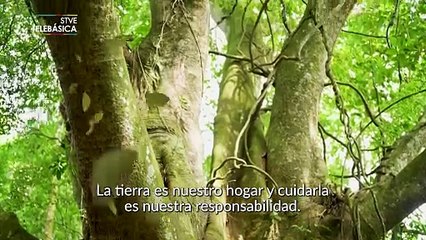 Día Mundial del Medio Ambiente