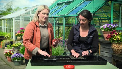 The Beechgrove Garden 2025 episode 10