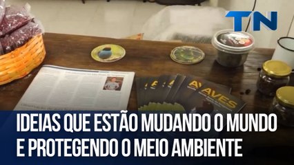 Ideias que estão mudando o mundo e protegendo o meio ambiente | Bora Empreender