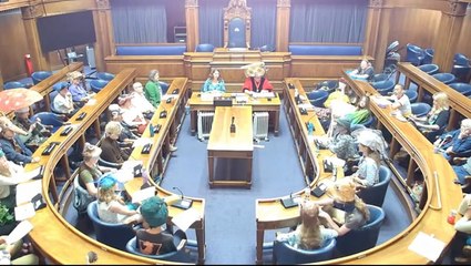 Nature campaigners in animal costumes take over council session for ‘inter-species democracy meeting’