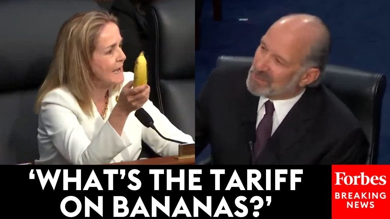 'We Cannot Build Bananas In America': Madeleine Dean Grills Secretary Howard Lutnick On Trump's Tariffs