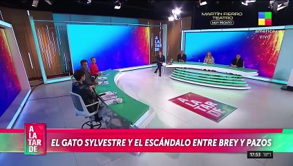 Georgina Barrbarrosa la contestó al gato Sylvestre.