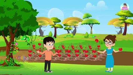 आहा टमाटर - Aaha Tamatar Bade Mazedar