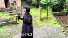 家门口就是小溪水，风景优美，方圆5公里内无人居住，您敢来住吗 #小院生活 #田园生活 #农村生活