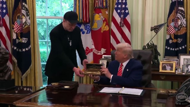 Trump dice estar decepcionado con Elon Musk y este le acusa de estar en archivos de Epstein