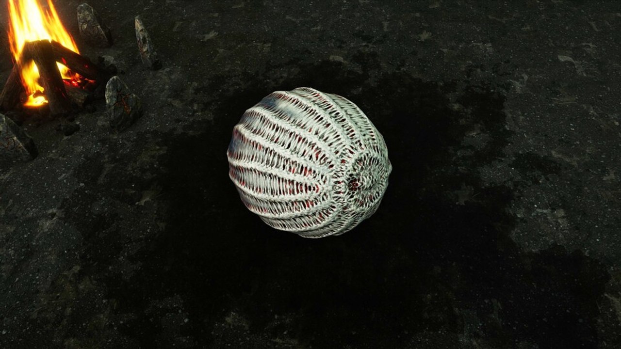 Tainted Grail: Wir brüten ein Riesen-Ei aus, aber was ist drin?