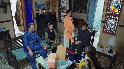 Raaja Rani - Episode 10 - 5th Jun 2025 - HUM TV