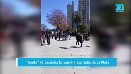 "Tanito" ya custodia la nueva Plaza Italia de La Plata