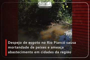 Despejo de esgoto no Rio Piancó causa mortandade de peixes e ameaça abastecimento em cidades da região