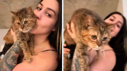 Video: Paraplegic Cat Who Survived Being Hit by a Car Becomes a Social Media Sensation