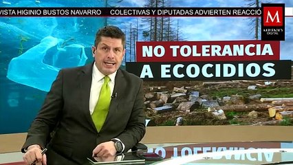 En Yucatán, arranca campaña nacional de limpieza de playas; ecocidios tendrán castigo ejemplar
