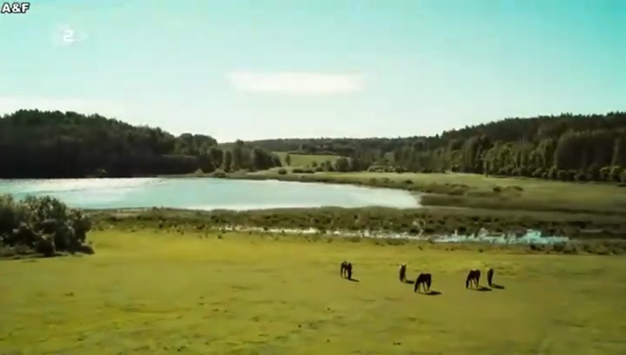 Inga Lindström -095- Fliehende Pferde in Sörmland