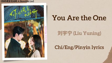 You Are the One - 刘宇宁 (Liu Yuning)《你的谎言也动听 A Beautiful Lie》Chi-Eng-Pinyin lyrics