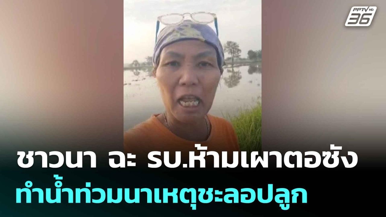 ชาวนา ฉะ รบ.ห้ามเผาตอซัง ทำน้ำท่วมนาเหตุชะลอปลู...