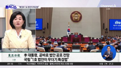 국민의힘 “이재명 정부 1호 법안이 특검법”